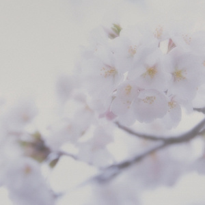 偷偷色无码av免费看
