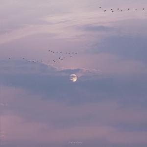 偷偷色无码av免费看
